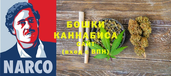 шишки Алексеевка