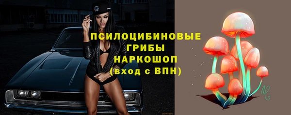 шишки Алексин